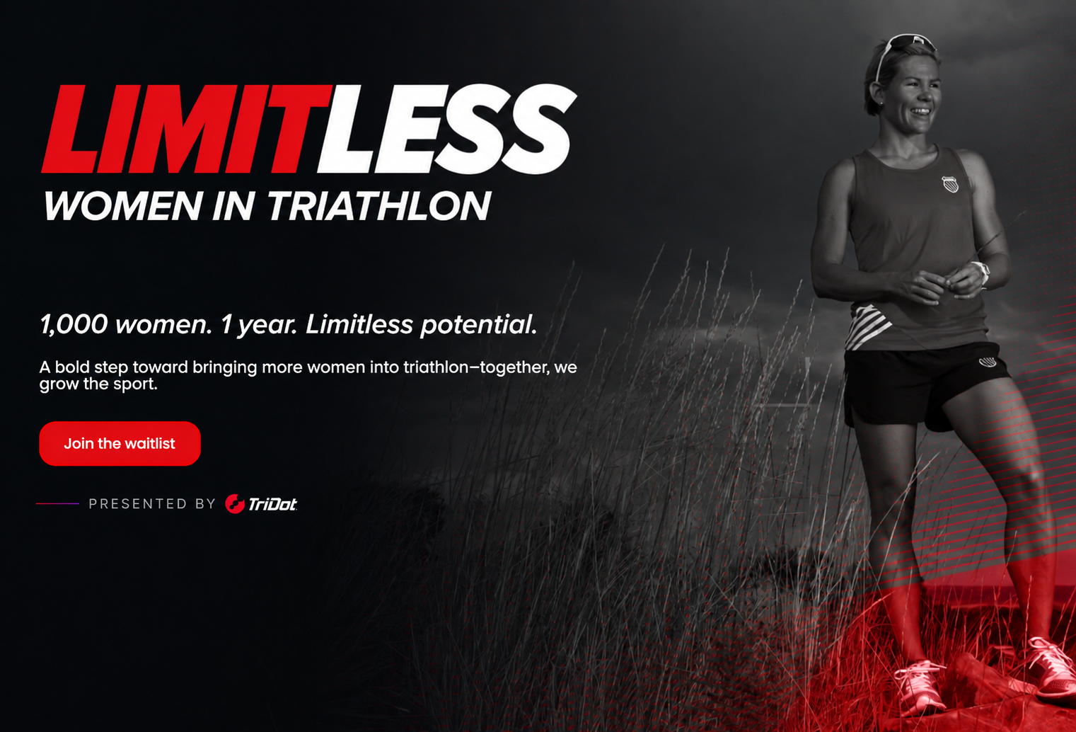 Limitless header image
